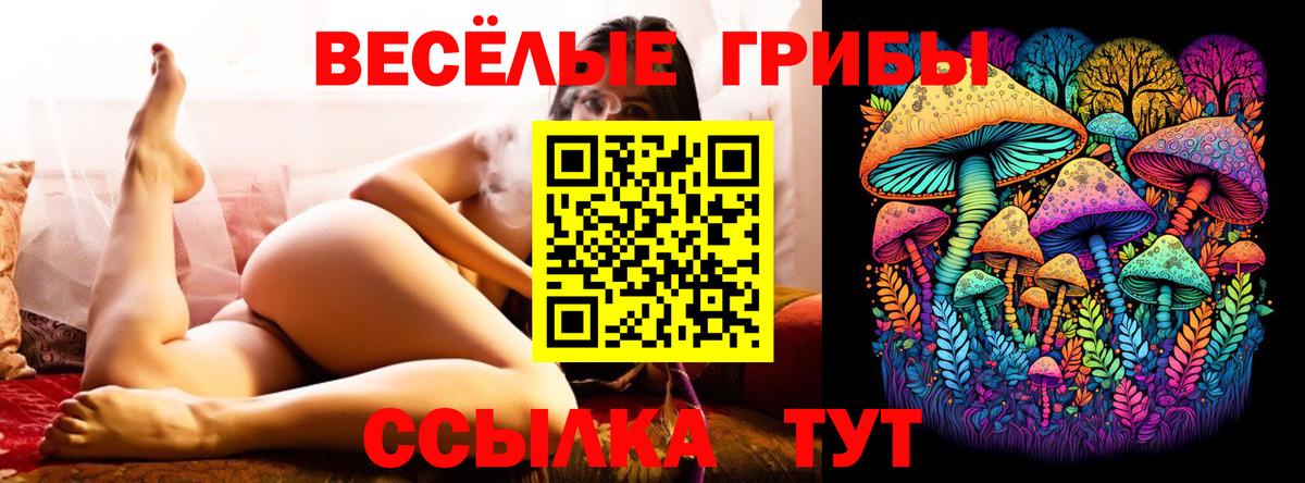 даркнет сайт  Галлюциногенные грибы Psilocybine cubensis  Вход с VPN  Киселёвск  Псилоцибиновые грибы MAGIC MUSHROOMS 